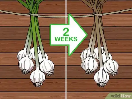 Imagem intitulada Braid Garlic Step 11
