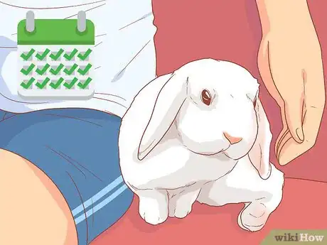 Imagem intitulada Raise a Lop Eared Rabbit As a Pet Step 16