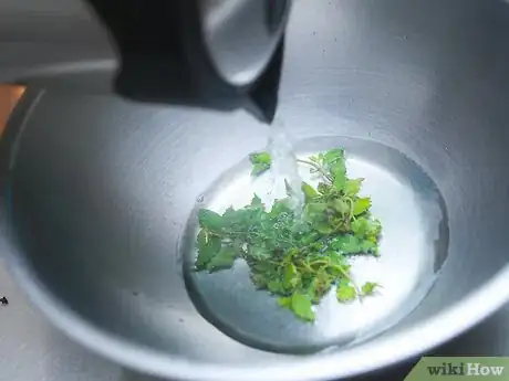 Imagem intitulada Make Mint Tea Step 7