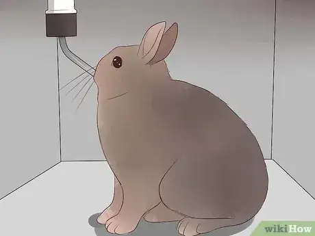 Imagem intitulada Transport a Rabbit Step 9