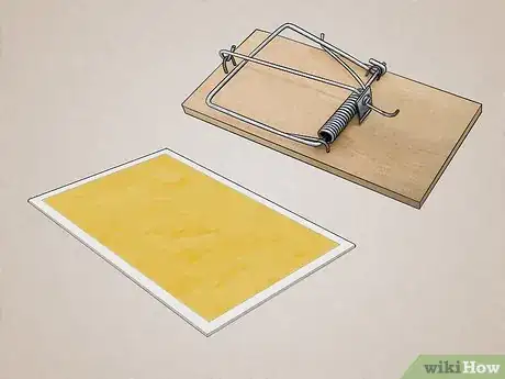 Imagem intitulada Attract Rats Step 10