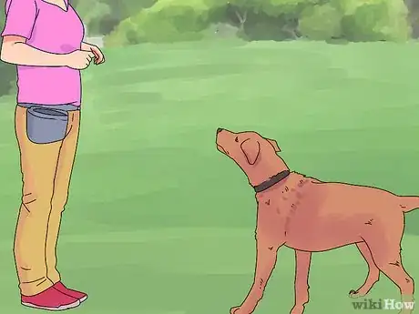 Imagem intitulada Train a Dog Step 43