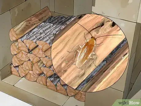 Imagem intitulada Identify a Cockroach Step 30