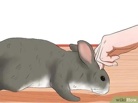 Imagem intitulada Care for a House Rabbit Step 26