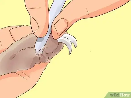 Imagem intitulada Deal with a Sick Rabbit Step 14