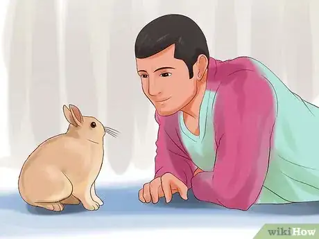 Imagem intitulada Play With Your Rabbit Step 5