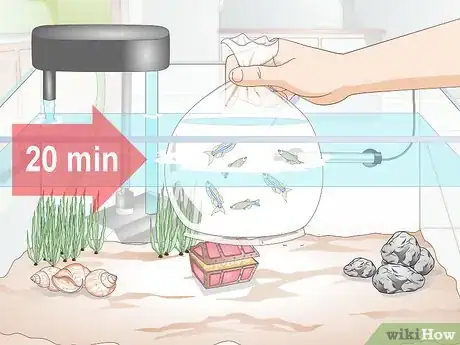 Imagem intitulada Set up a Community Fish Tank Step 8