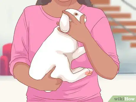 Imagem intitulada Raise a Lop Eared Rabbit As a Pet Step 17