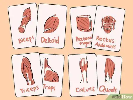 Imagem intitulada Study Muscle Anatomy Step 8