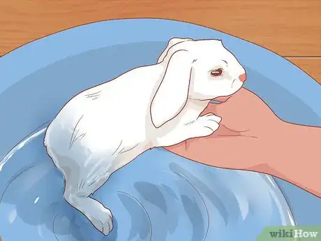 Imagem intitulada Raise a Lop Eared Rabbit As a Pet Step 20