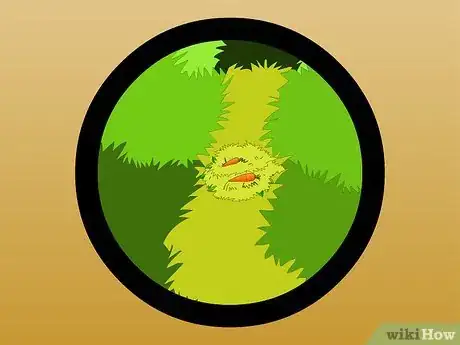 Imagem intitulada Catch a Wild Rabbit Step 16