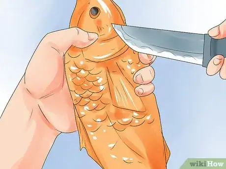 Imagem intitulada Humanely Kill a Fish Step 15