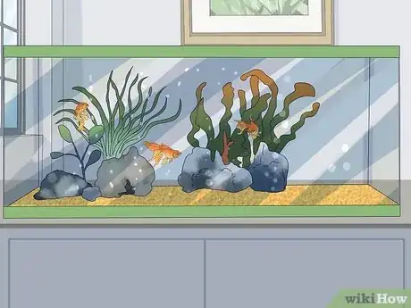 Imagem intitulada Transport Fish Step 22