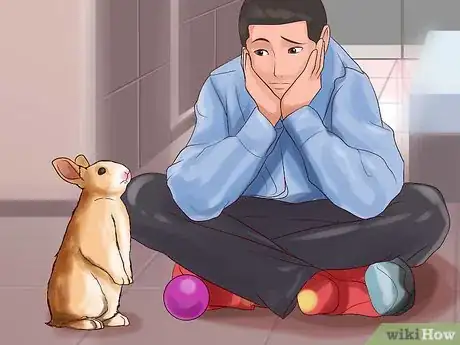 Imagem intitulada Play With Your Rabbit Step 6