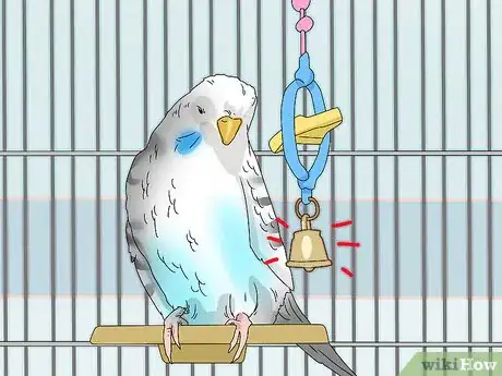 Imagem intitulada Hand Train a Parakeet Step 7
