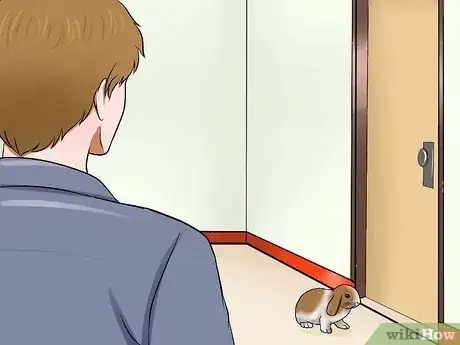 Imagem intitulada Care for a House Rabbit Step 23