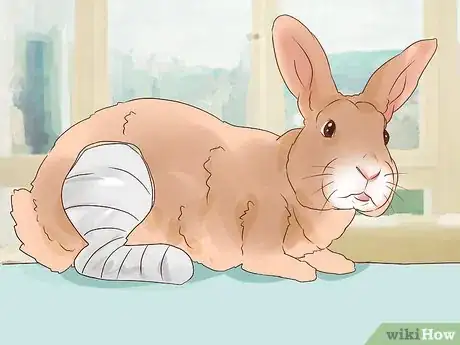 Imagem intitulada Deal with a Sick Rabbit Step 15