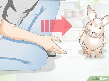 Imagem intitulada Calm a Vicious Rabbit Step 3
