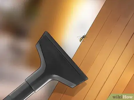 Imagem intitulada Get Rid of Wasps Step 2