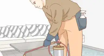 Saber se o Seu Pássaro Tem Ácaros