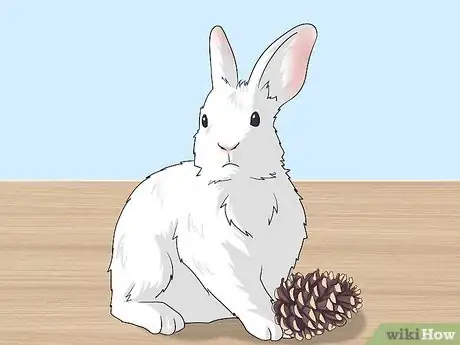 Imagem intitulada Make Homemade Rabbit Toys Step 4