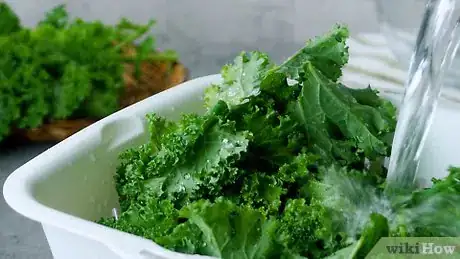 Imagem intitulada Clean Kale Step 8