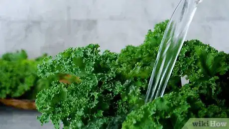Imagem intitulada Clean Kale Step 1