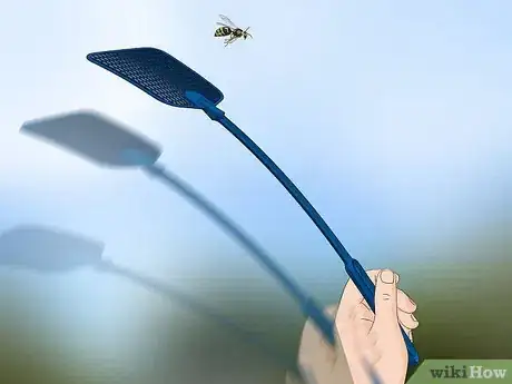 Imagem intitulada Get Rid of Wasps Step 1