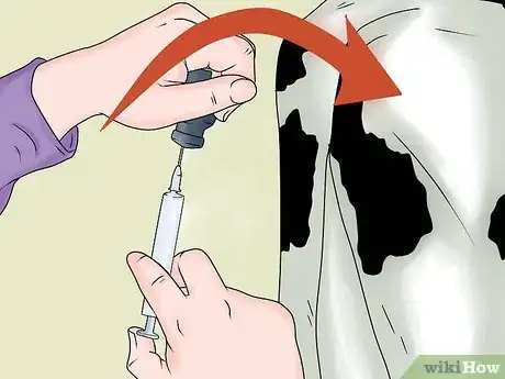 Imagem intitulada Inject Cattle Step 3