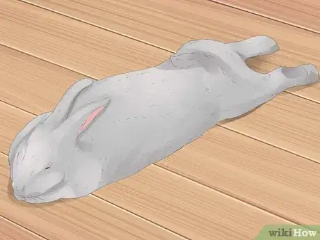 Imagem intitulada Understand Your Rabbit Step 5
