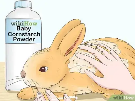 Imagem intitulada Treat Diarrhea in Rabbits Step 12