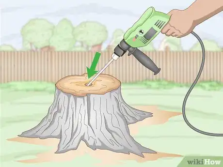 Imagem intitulada Burn Tree Stumps Step 2