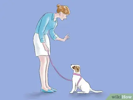Imagem intitulada Train a Pit Bull Step 6