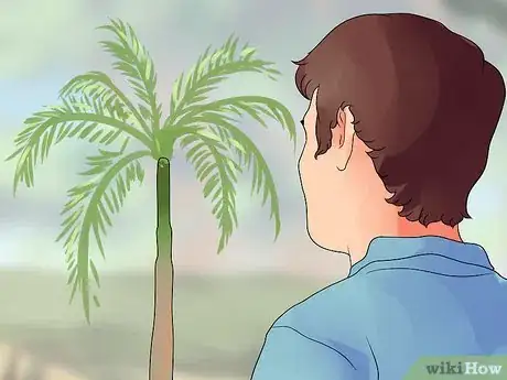 Imagem intitulada Trim a Palm Tree Step 1