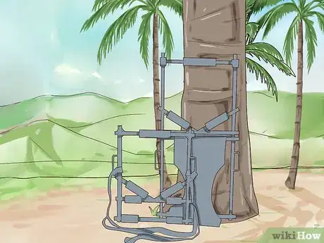 Imagem intitulada Climb a Coconut Tree Step 13