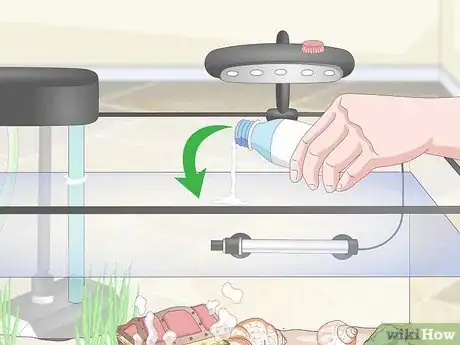 Imagem intitulada Set up a Guppy Tank Step 10