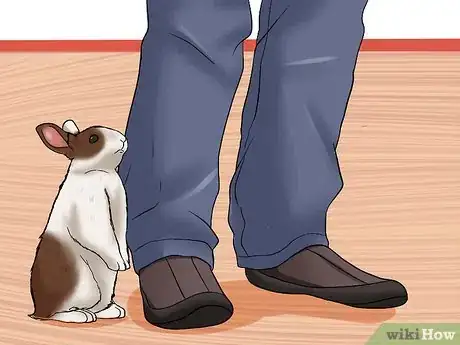 Imagem intitulada Care for a House Rabbit Step 24