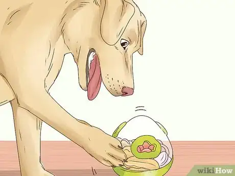 Imagem intitulada Stop Dogs Licking You Step 5