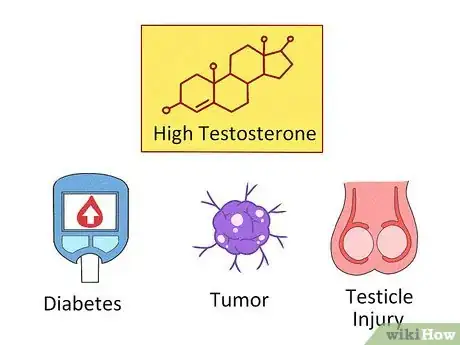 Imagem intitulada Lower Testosterone Levels Step 7