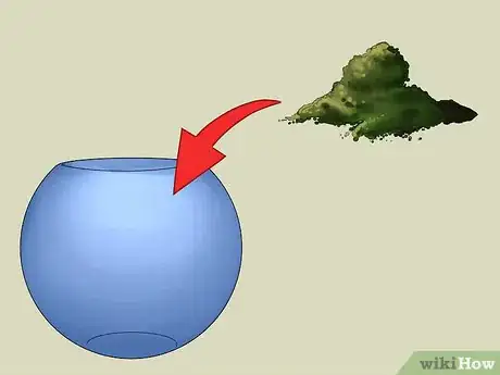 Imagem intitulada Build a Self Sustaining Ecosystem Step 14