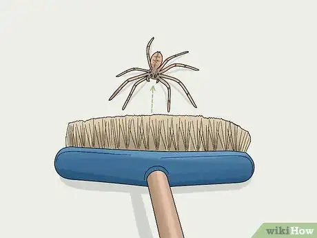 Imagem intitulada Kill Spiders from a Distance Step 3