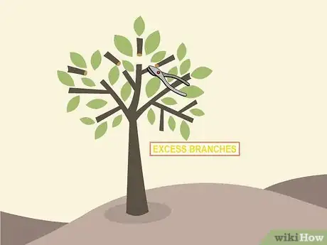 Imagem intitulada Prune a Cherry Tree Step 13