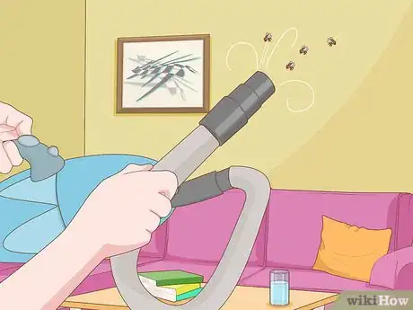 Imagem intitulada Get Rid of Flies Step 1