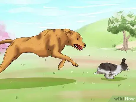 Imagem intitulada Calm a Rabbit Step 2