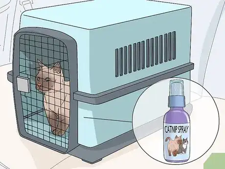 Imagem intitulada Use Catnip Spray Step 9
