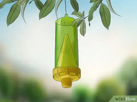 Imagem intitulada Get Rid of Wasps Step 7