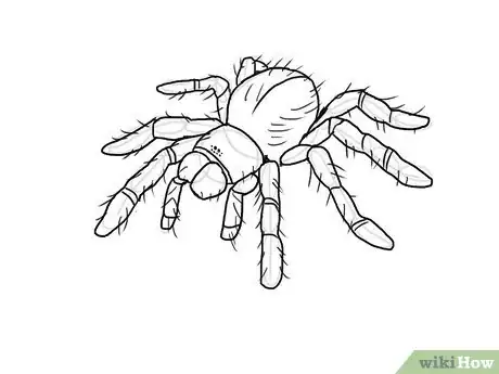 Imagem intitulada Draw a Spider Step 8