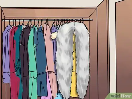 Imagem intitulada Clean Fur Step 17