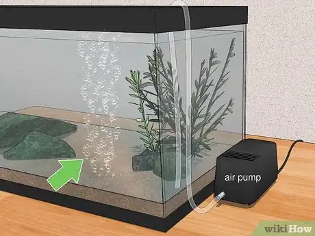 Imagem intitulada Dechlorinate Water Step 3