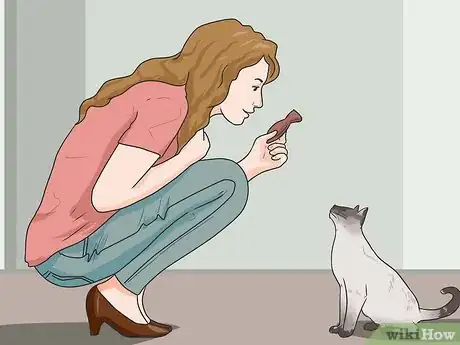 Imagem intitulada Call a Cat Step 2